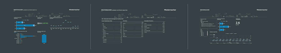 dsahboard carbon neutral dashboard overview