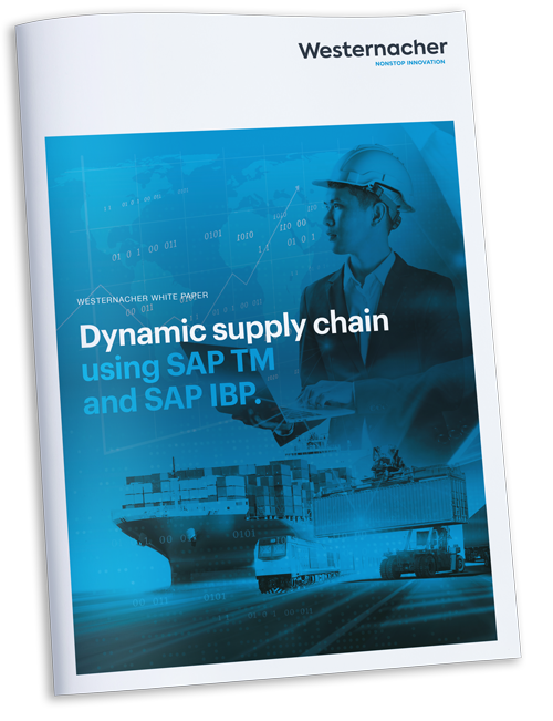 screenshot whitepaper dynamic supply chain