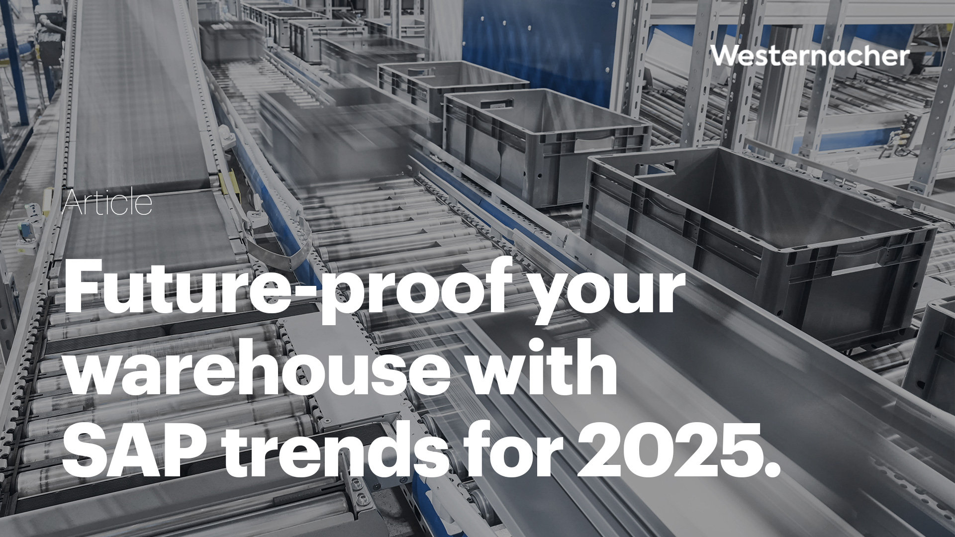 Future-proof your warehouse with SAP trends for 2025.