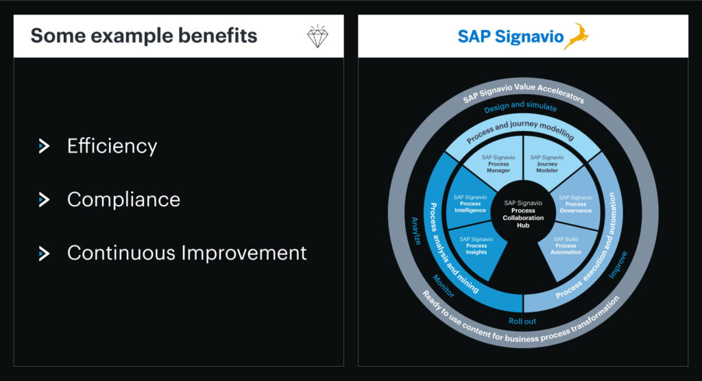 The Synergy of LeanIX and Signavio.