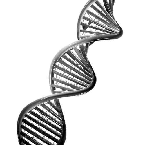 Success is a story avec Belenos et Westernacher Consulting - SAP S/4HANA Public Cloud Edition