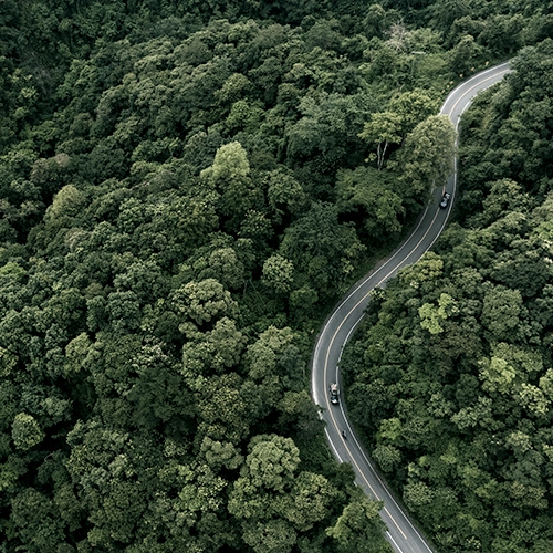 Westernacher Consulting partners with osapiens