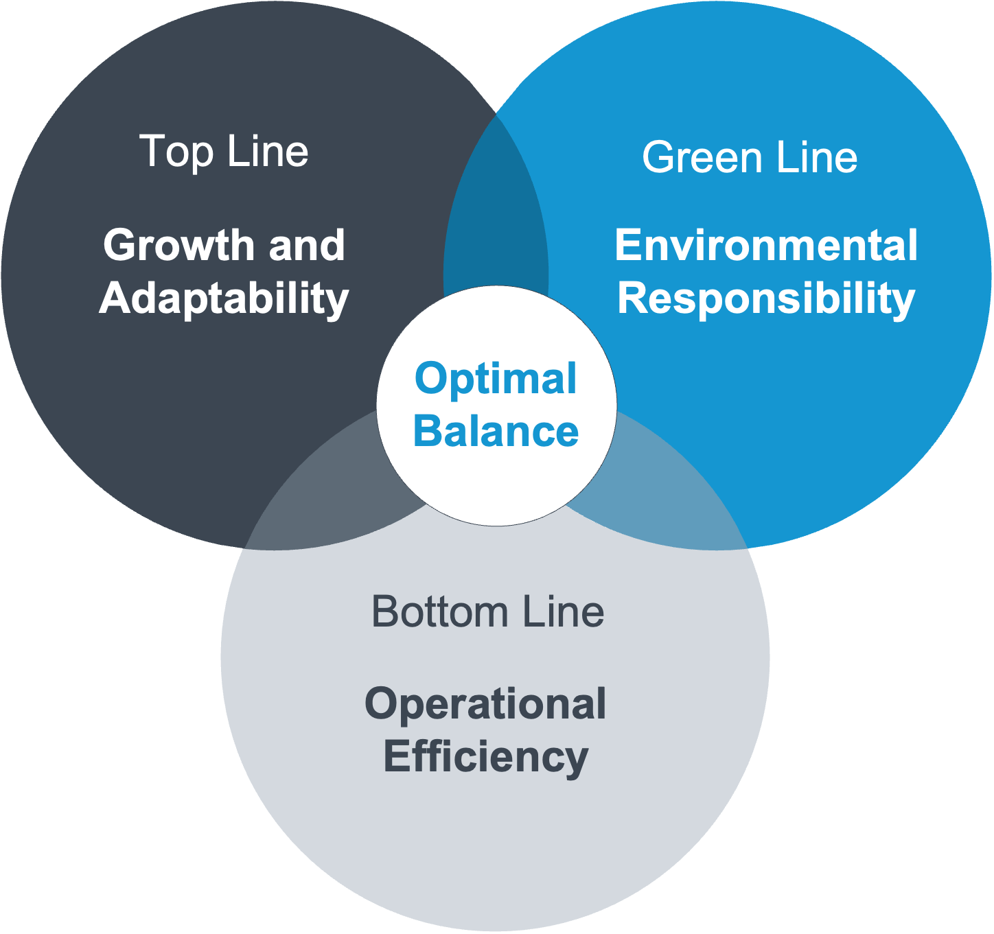 Digital Transformation with Westernacher Consulting - Optimal Balance