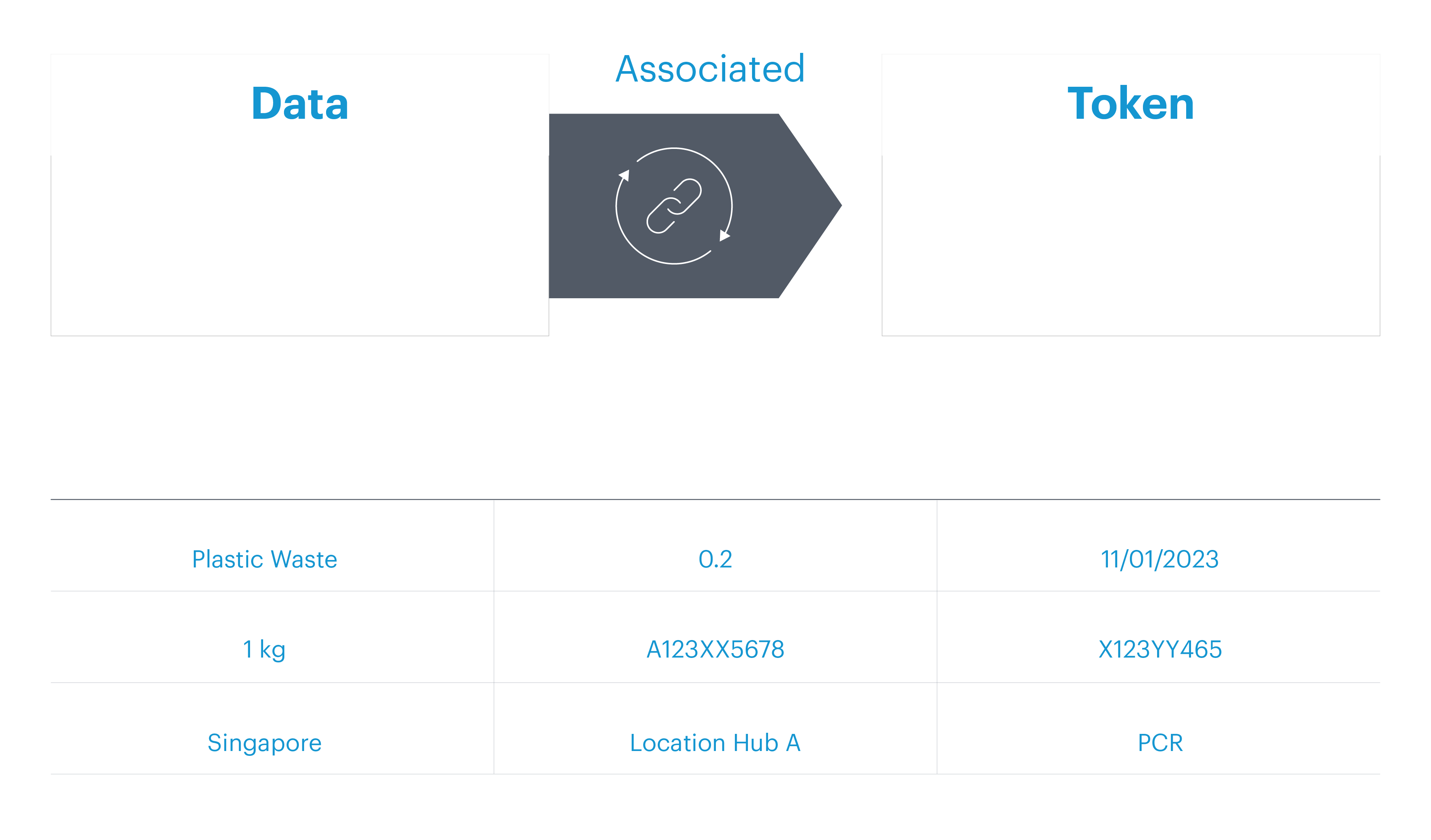 SAP Green Token solution_Tokenization principle