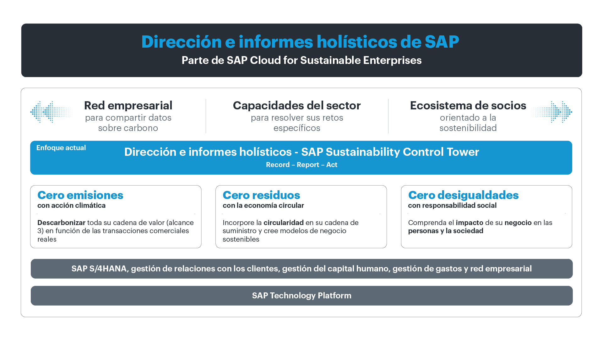 SAP SCT Holistics Steering and Reporting