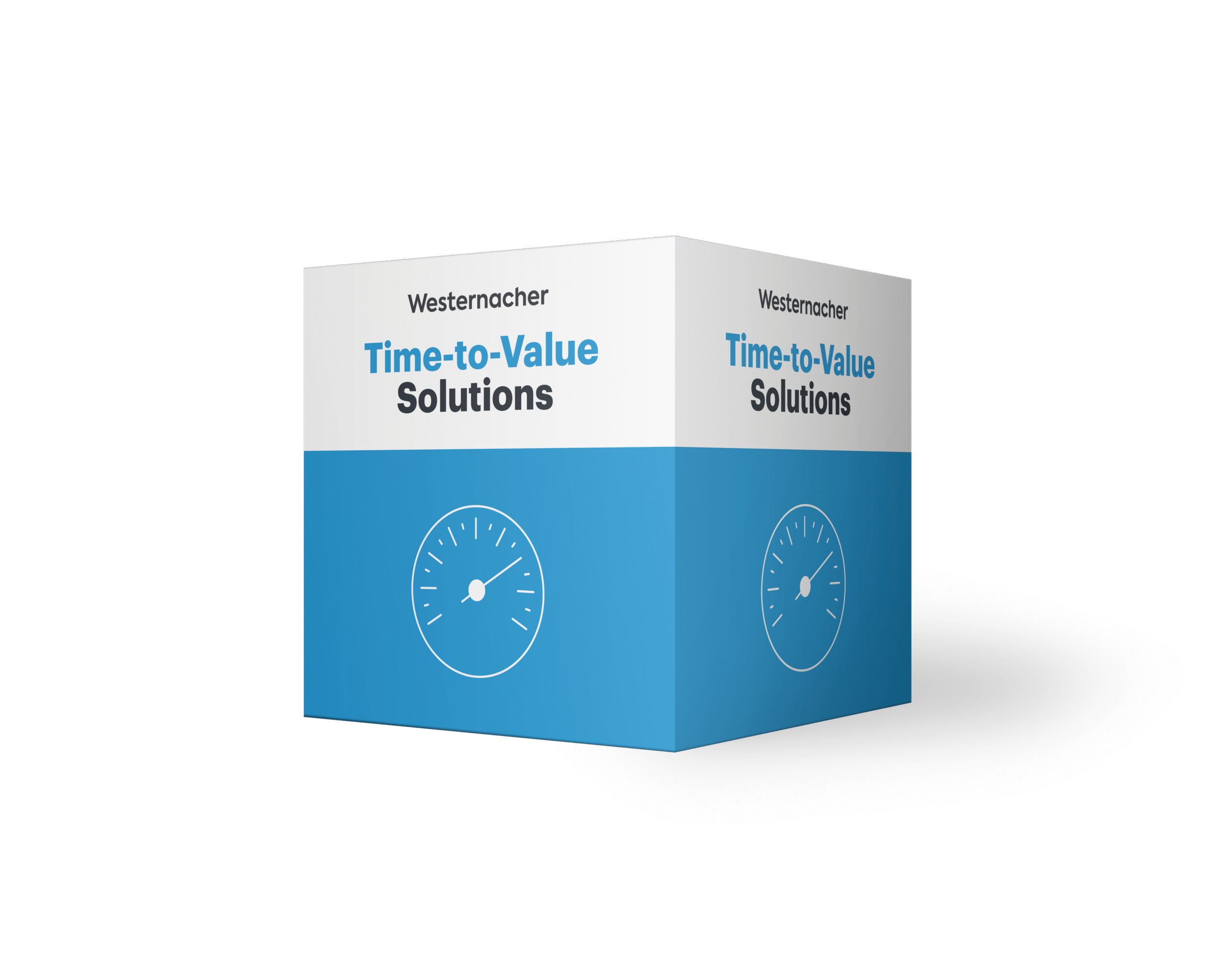 Westernacher Consulting Time-to-Value Solutions