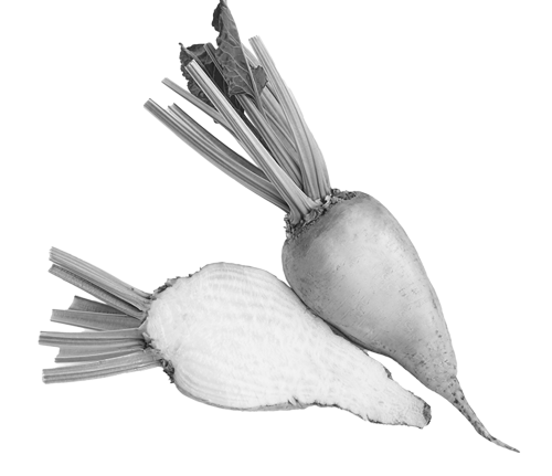 USPR passa a SAP S/4HANA con un dolce successo. Barbabietola dolce.