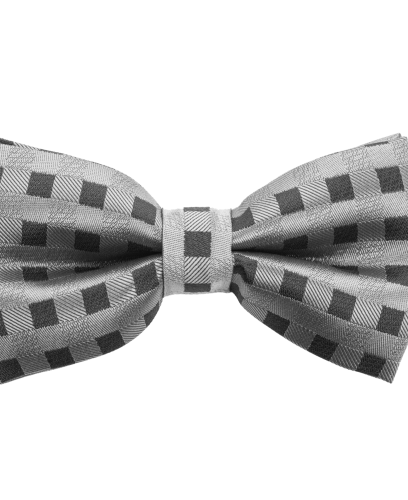 Customer Success Story with Hugo Boss and Westernacher Consulting