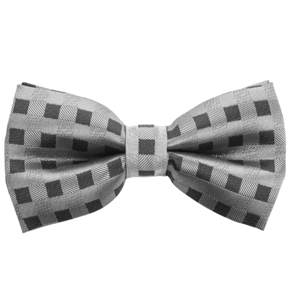 Customer Success Story with Hugo Boss and Westernacher Consulting