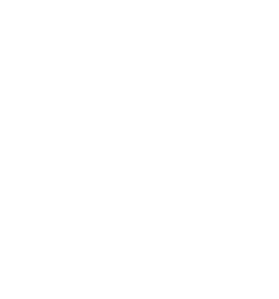 icon-stopwatch-white-big-v1 Westernacher Consulting Instant Innovation Tools