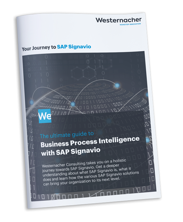 mockup_ebook_ultimate-guide-to-sap-signavio.png
